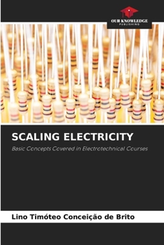 Paperback Scaling Electricity Book