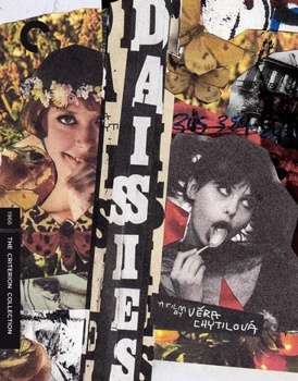 Blu-ray Daisies Book