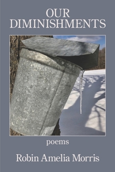 Paperback Our Diminishments Book