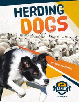 Library Binding Herding Dogs Book