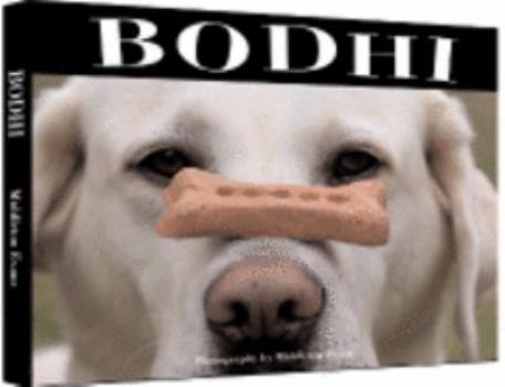 Hardcover Bodhi: The All American Lodge Dog Book