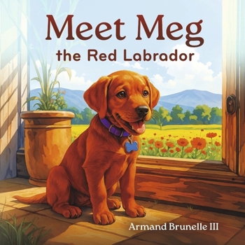 Meet Meg the Red Labrador