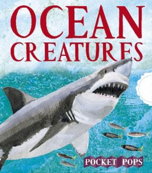 Paperback OCEAN CREATURES /ANGLAIS Book
