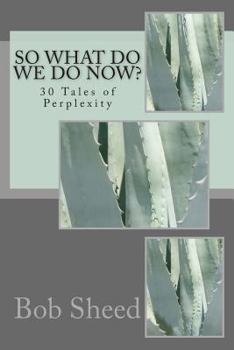 Paperback So What Do We Do Now?: 30 Tales of Perplexity Book