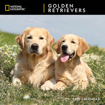 Calendar Cal 2021- Ng Golden Retrievers Wall Book