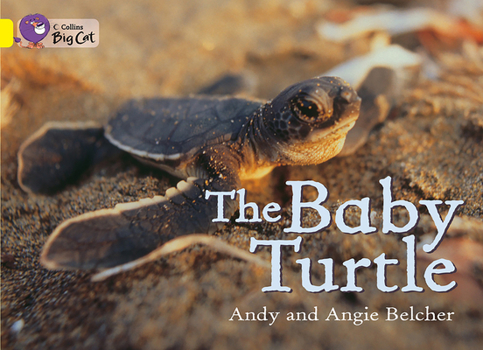 Paperback The Baby Turtle: Band 03/Yellow Book