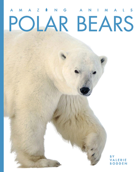 Polar Bears - Book  of the Amazing Animals