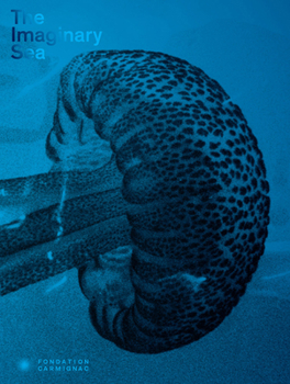 Hardcover The Imaginary Sea Book