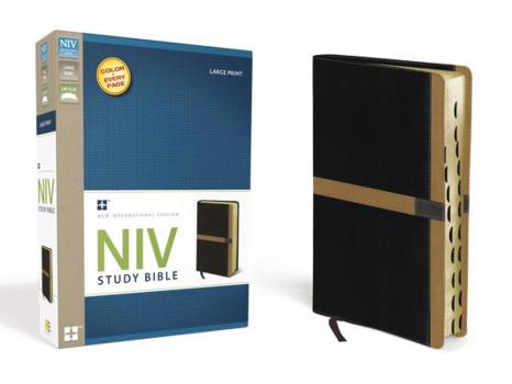 Imitation Leather Study Bible-NIV-Large Print [Large Print] Book