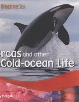 Hardcover Orcas and Other Cold-ocean Life (Under the Sea) Book