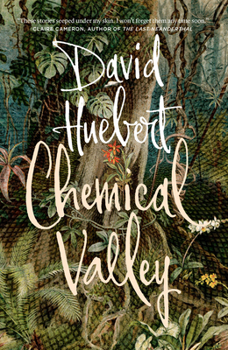 Paperback Chemical Valley Book