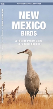 Paperback New Mexico Birds: A Folding Pocket Guide to Familiar Species Book
