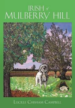 Paperback Irish of Mulberry Hill Book