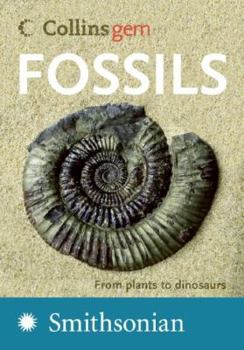 Paperback Fossils: From Plants to Dinosaurs Book