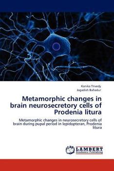 Paperback Metamorphic changes in brain neurosecretory cells of Prodenia litura Book