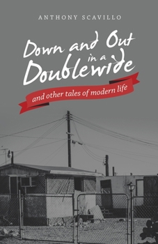 Paperback Down and out in a Doublewide and Other Tales of Modern Life Book