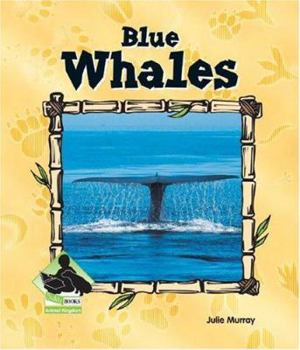 Blue Whales - Book  of the Buddy Books