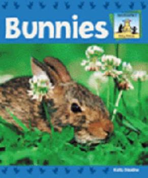 Library Binding Bunnies Book