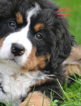 2020 A4 Diary Week To View Planner For All Occasions: | Year Planner For Business, Office, Home, University, College, School, Appointments, Organizer.