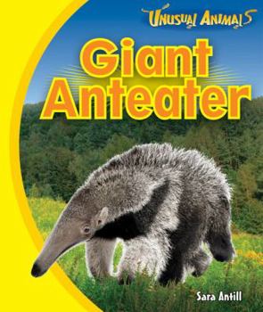 Giant Anteater - Book  of the Unusual Animals