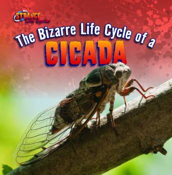 Library Binding The Bizarre Life Cycle of a Cicada Book