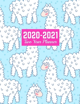 2020-2021 Two Year Planner: Daily Weekly Monthly 2020-2021 Planner Organizer, Agenda, Schedule and To Do List Journal Art Cover 00023189