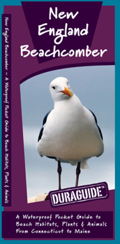New England Beachcomber: A Waterproof Pocket Guide to Beach Habitats, Plants & Animals from Connecticut to Maine