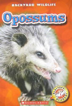 Hardcover Opossums Book