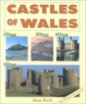 Paperback The Castles of Wales Book