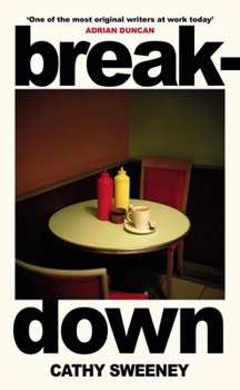 Hardcover Breakdown: The humane Irish Bestseller about the dark side of modern motherhood Book