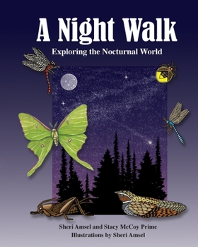 Paperback A Night Walk: Exploring the Nocturnal World Book