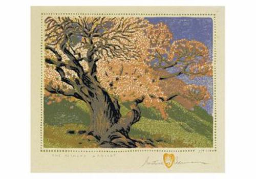 Misc. Supplies Gustave Baumann: The Bishop's Apricot Small Boxed Cards Book