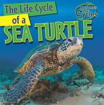 Paperback The Life Cycle of a Sea Turtle Book