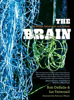 Paperback The Brain: Big Bangs, Behaviors, and Beliefs Book