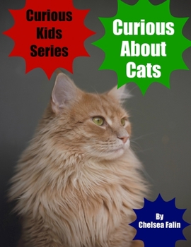 Paperback Curious About Cats Book
