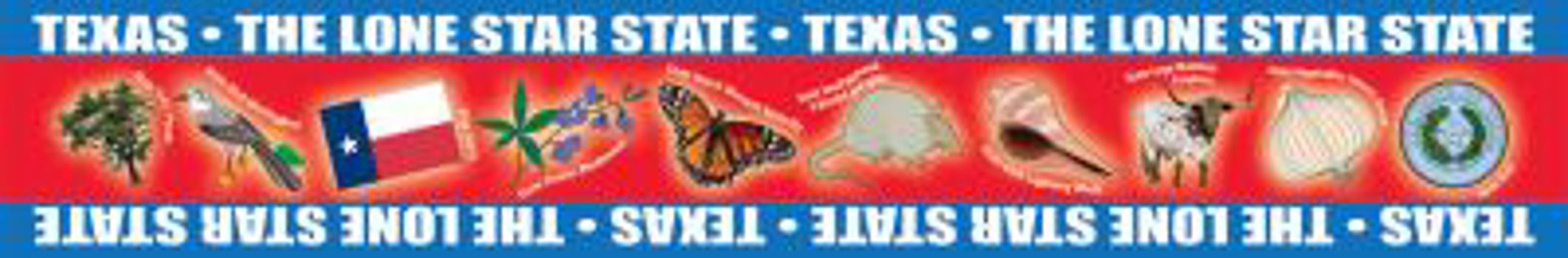 Hardcover Texas Borders for Bulletin Boards Book