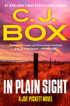 Paperback In Plain Sight Book