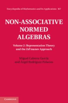 Hardcover Non-Associative Normed Algebras Book