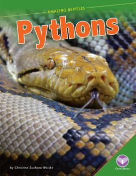 Pythons - Book  of the Amazing Reptiles