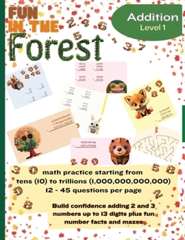 BLACK & WHITE Version Addition Math Practice: over 1,300 math problems with two and three numbers up to 13 digits pluis mazes and fun facts