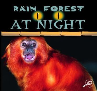 Library Binding Rain Forest at Night Book