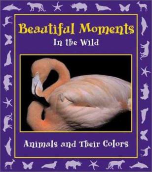 Hardcover Beautiful Moments in the Wild: Animals and Their Colors Book