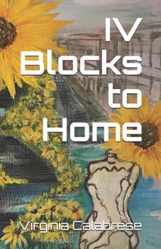 Paperback IV Blocks To Home Book