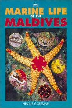 Hardcover Marine Life of the Maldives Book