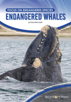 Hardcover Endangered Whales Book