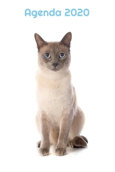 Agenda 2020: Hebdomadaire 1 Semaine par page Format A5 | Janvier 2020 à Décembre 2020 | Planificateur Organiseur Semainier avec Calendrier et Carnet ... Pour les Amoureux des Chats (French Edition)