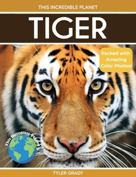 Paperback Tiger: Fascinating Animal Facts for Kids [Large Print] Book