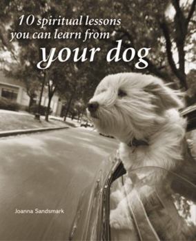 Hardcover 10 Spiritual Lessons You Can Learn from Your Dog Book