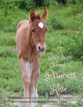 Paperback A Baby Horse Named Princess Rose: True Inspiration & Magic at Intentions Ranch Book