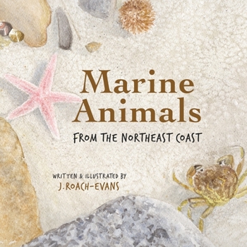 Paperback Marine Animals: from the Northeast Coast Book